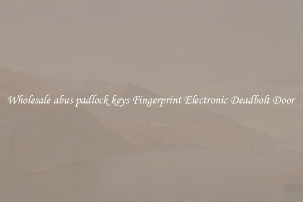 Wholesale abus padlock keys Fingerprint Electronic Deadbolt Door 