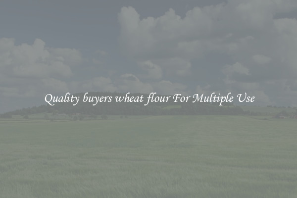 Quality buyers wheat flour For Multiple Use