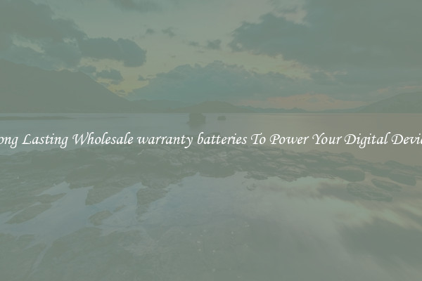 Long Lasting Wholesale warranty batteries To Power Your Digital Devices