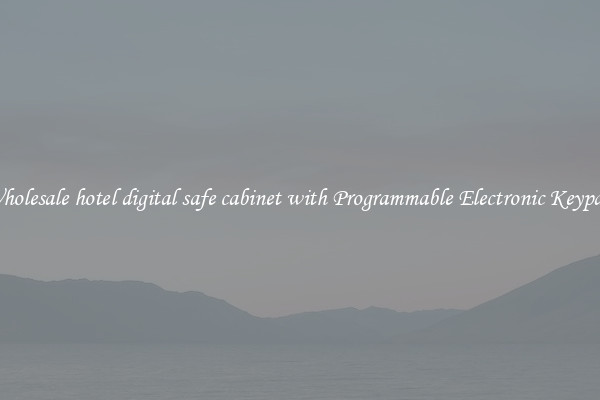 Wholesale hotel digital safe cabinet with Programmable Electronic Keypad 