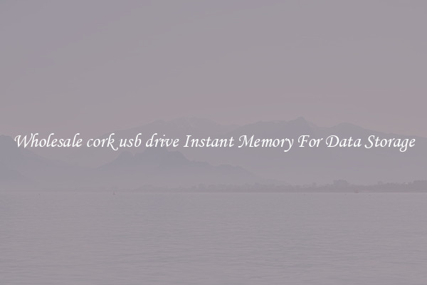 Wholesale cork usb drive Instant Memory For Data Storage