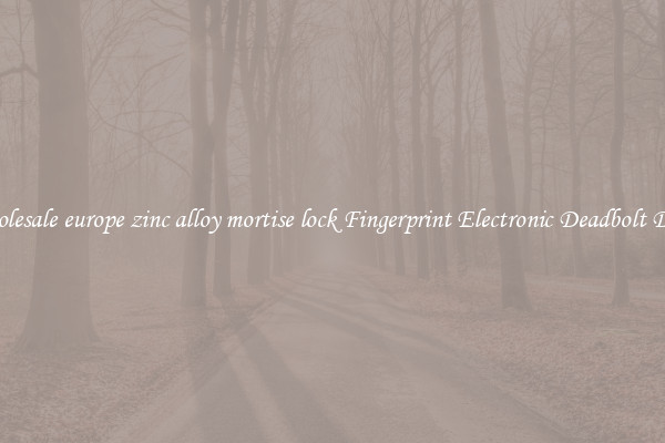 Wholesale europe zinc alloy mortise lock Fingerprint Electronic Deadbolt Door 