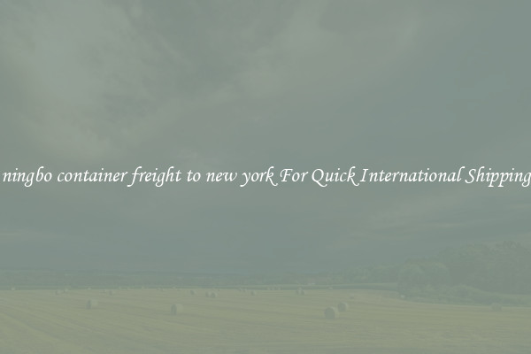 ningbo container freight to new york For Quick International Shipping
