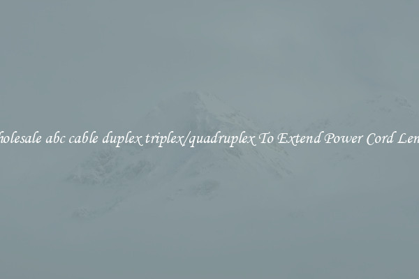 Wholesale abc cable duplex triplex/quadruplex To Extend Power Cord Length