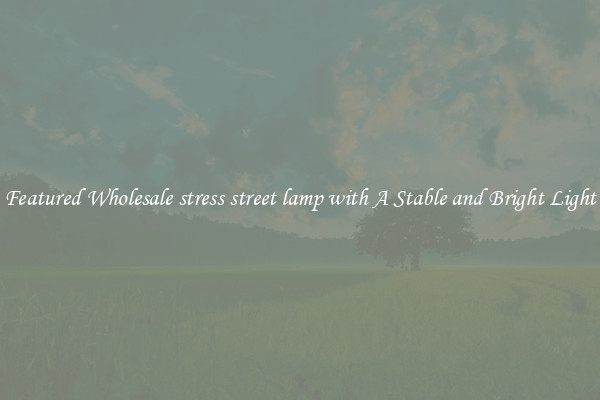 Featured Wholesale stress street lamp with A Stable and Bright Light