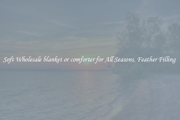 Soft Wholesale blanket or comforter for All Seasons, Feather Filling 