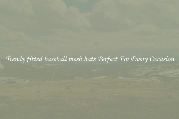 Trendy fitted baseball mesh hats Perfect For Every Occasion