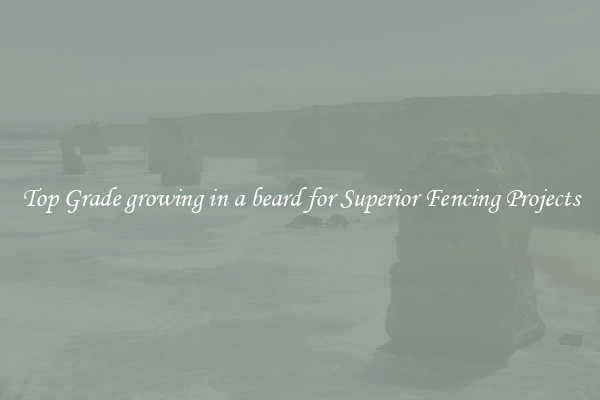 Top Grade growing in a beard for Superior Fencing Projects