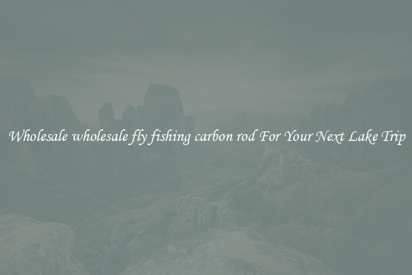 Wholesale wholesale fly fishing carbon rod For Your Next Lake Trip