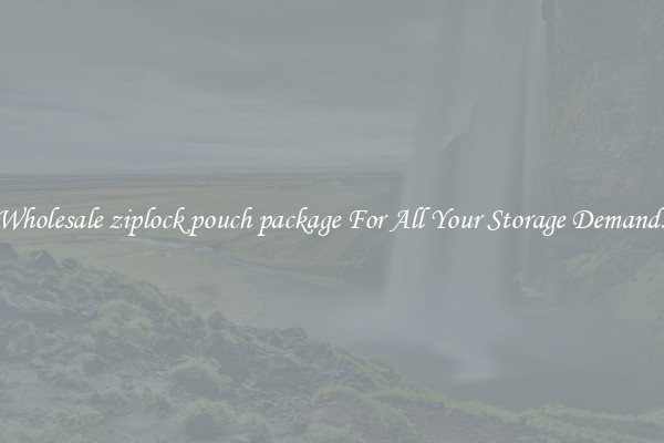 Wholesale ziplock pouch package For All Your Storage Demands