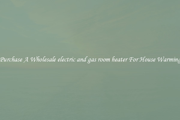 Purchase A Wholesale electric and gas room heater For House Warming