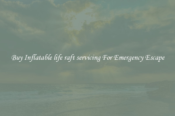 Buy Inflatable life raft servicing For Emergency Escape