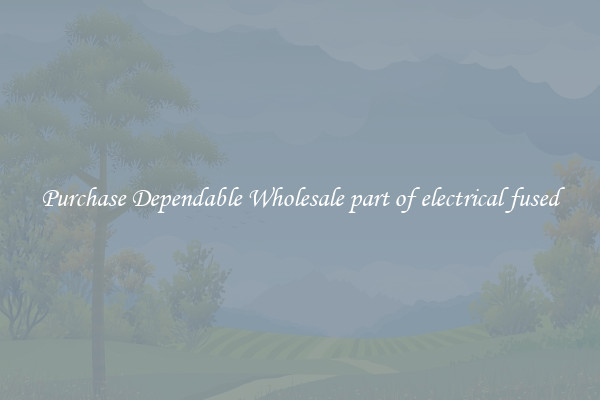 Purchase Dependable Wholesale part of electrical fused
