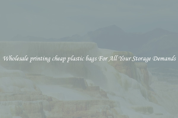 Wholesale printing cheap plastic bags For All Your Storage Demands