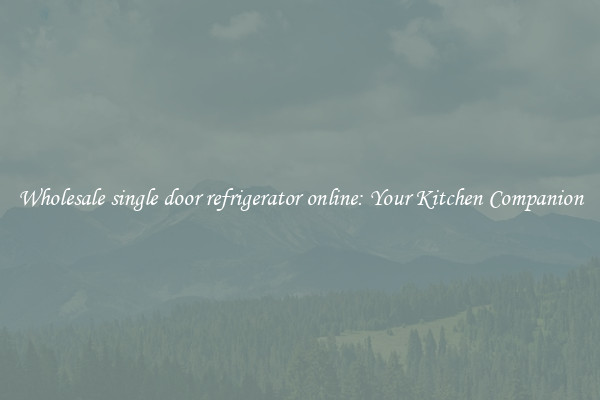 Wholesale single door refrigerator online: Your Kitchen Companion