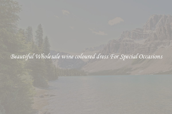 Beautiful Wholesale wine coloured dress For Special Occasions