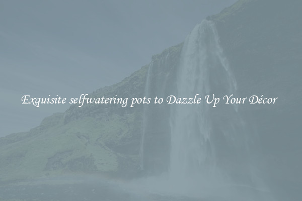 Exquisite selfwatering pots to Dazzle Up Your Décor  