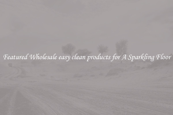 Featured Wholesale easy clean products for A Sparkling Floor
