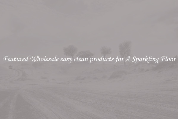 Featured Wholesale easy clean products for A Sparkling Floor