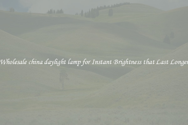 Wholesale china daylight lamp for Instant Brightness that Last Longer