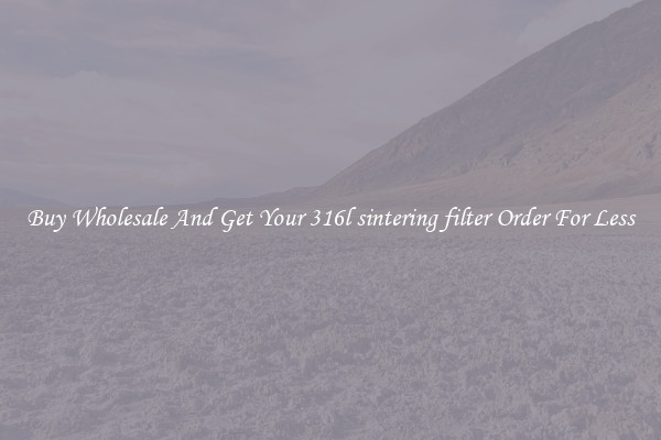 Buy Wholesale And Get Your 316l sintering filter Order For Less