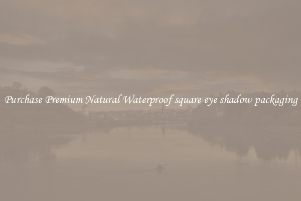 Purchase Premium Natural Waterproof square eye shadow packaging