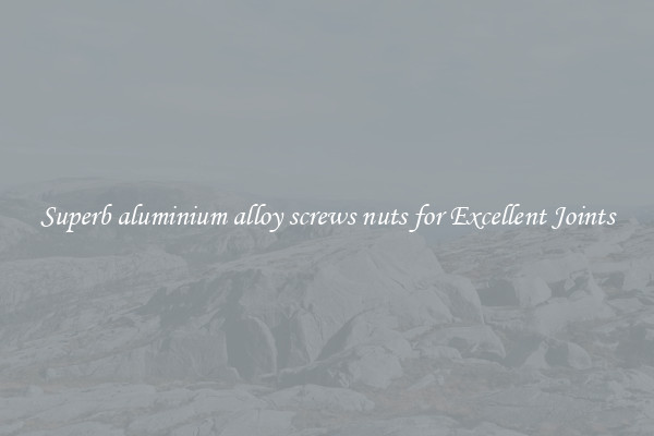 Superb aluminium alloy screws nuts for Excellent Joints